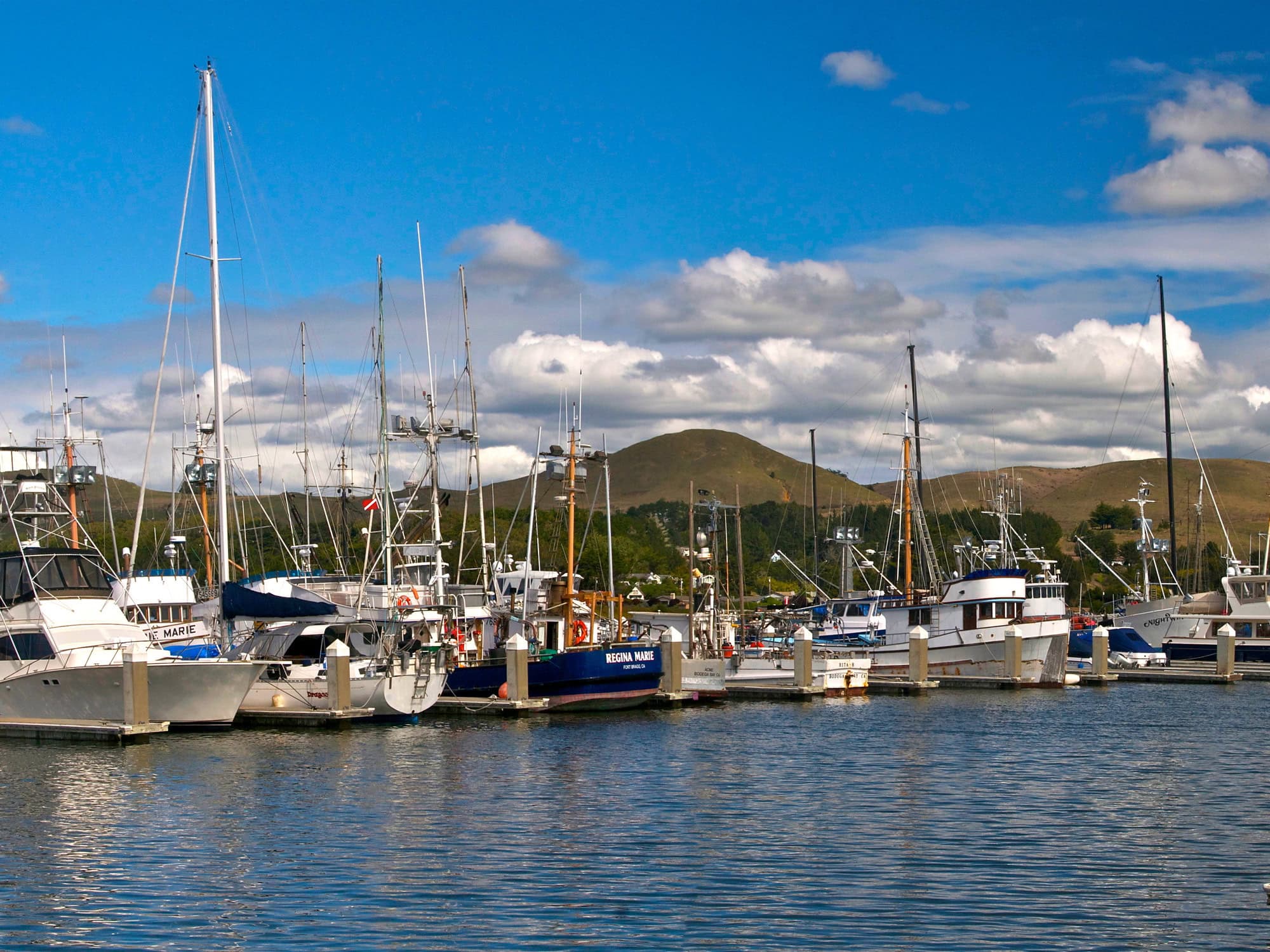 boats in the spud point marina in bodega bay