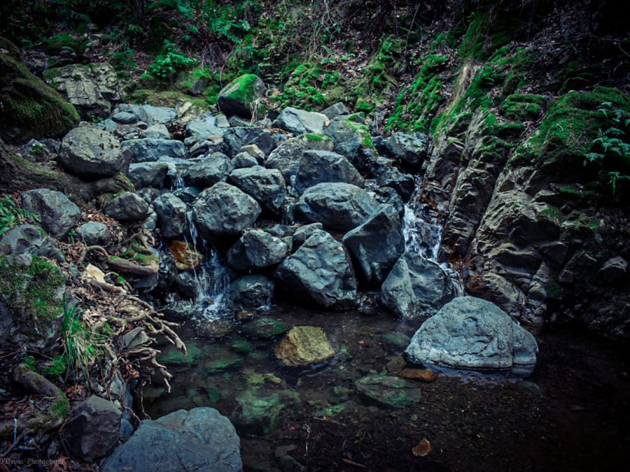 Sugarloaf Ridge State Park