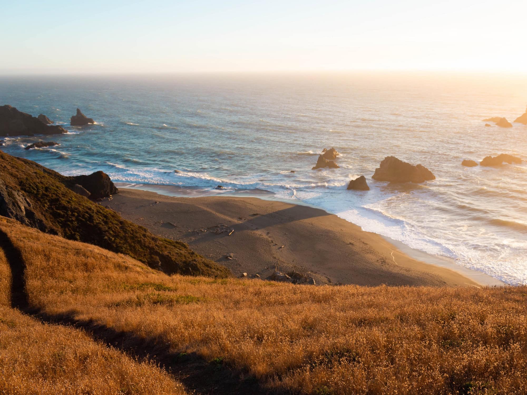 Grasses glow in the setting sun along the coast