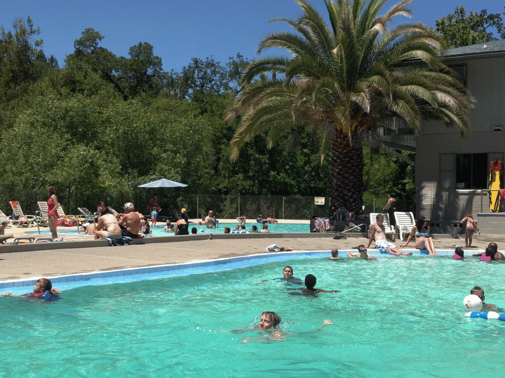 visitors enjoying the community swimming pool at mortons warm springs in sonoma county