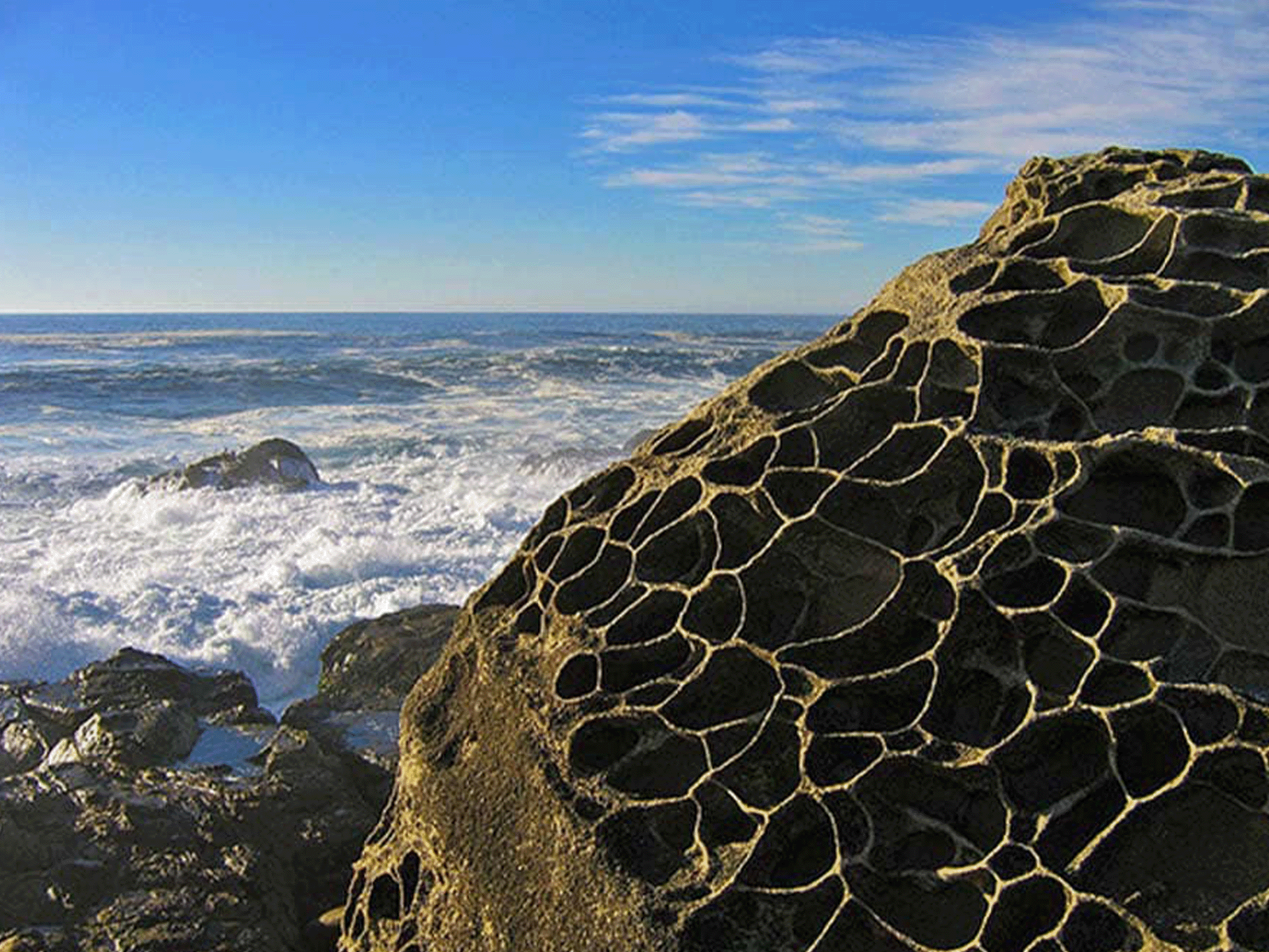Rocks with many holes in them along the coast