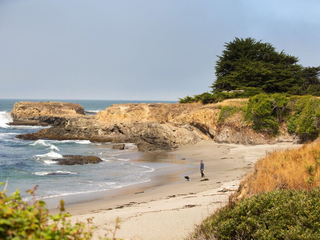 person and their dog walking the beach at sea ranch coastal access trail in sonoma county