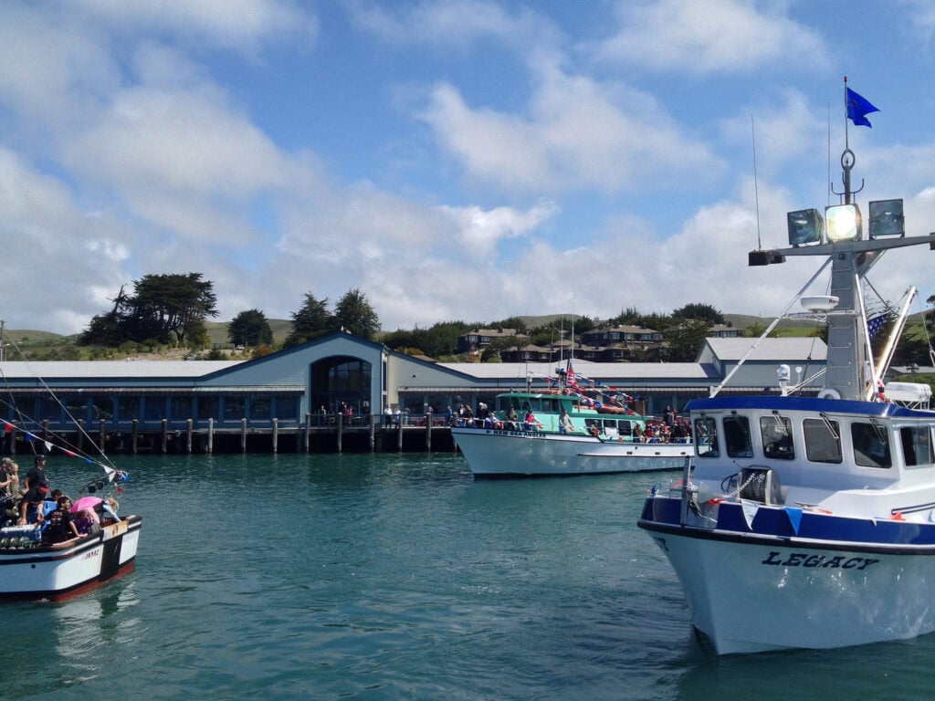 boats in the bay outside tides wharf restaurant