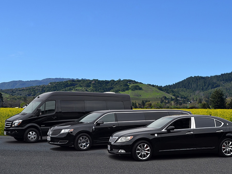 A fleet of transportation vehicles from Sonoma Sterling Limousines and Party Buses