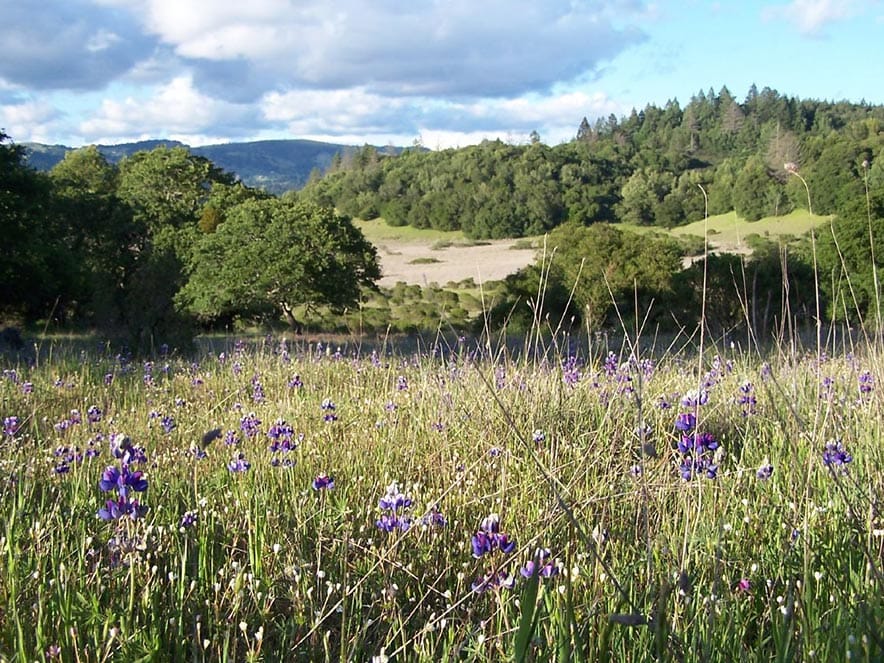 trione annadel state park