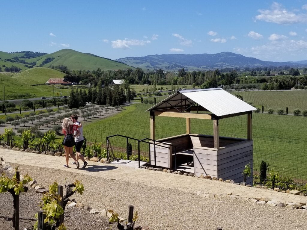 people walking the property at viansa winery in sonoma