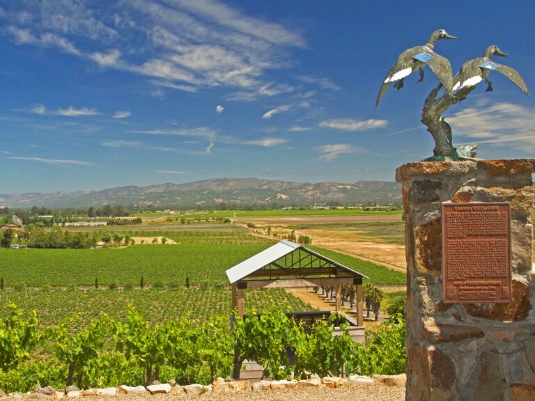 statue at viansa winery in sonoma