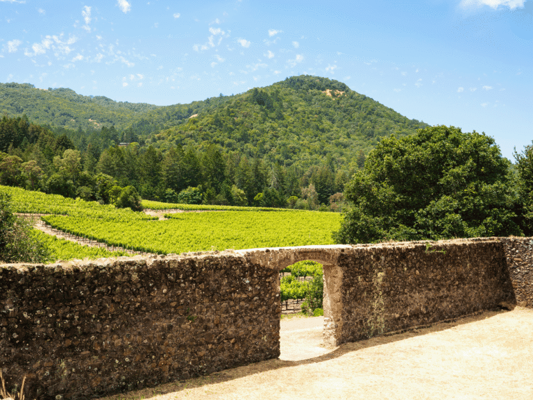 winery ruins at jack london state historic park in glen ellen sonoma county