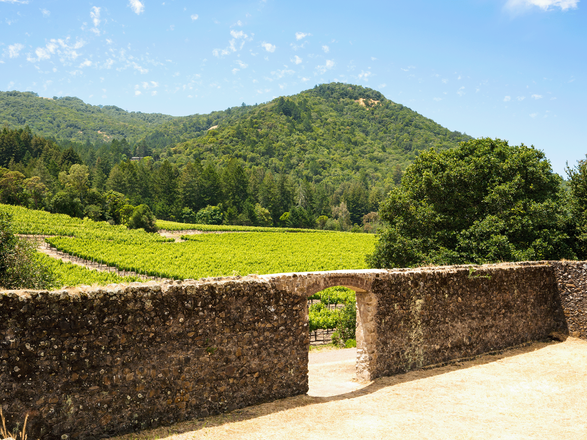 winery ruins at jack london state historic park in glen ellen sonoma county