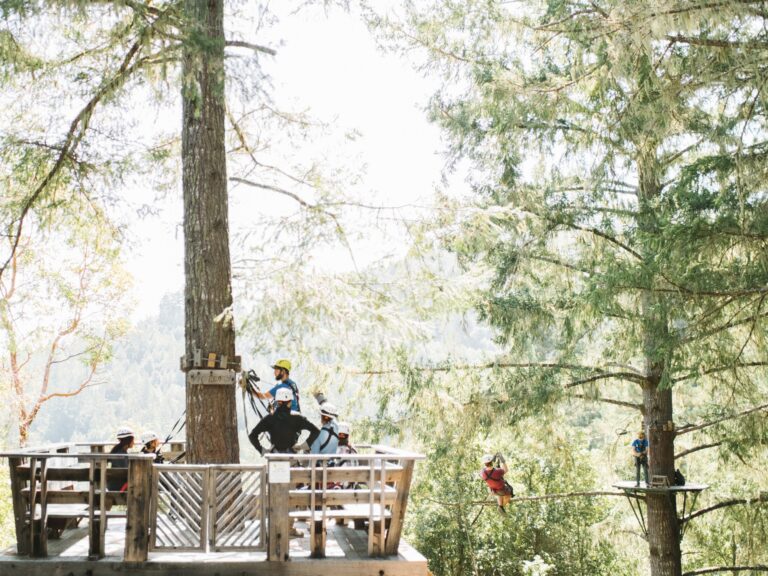 people ziplining in the redwoods in sonoma county