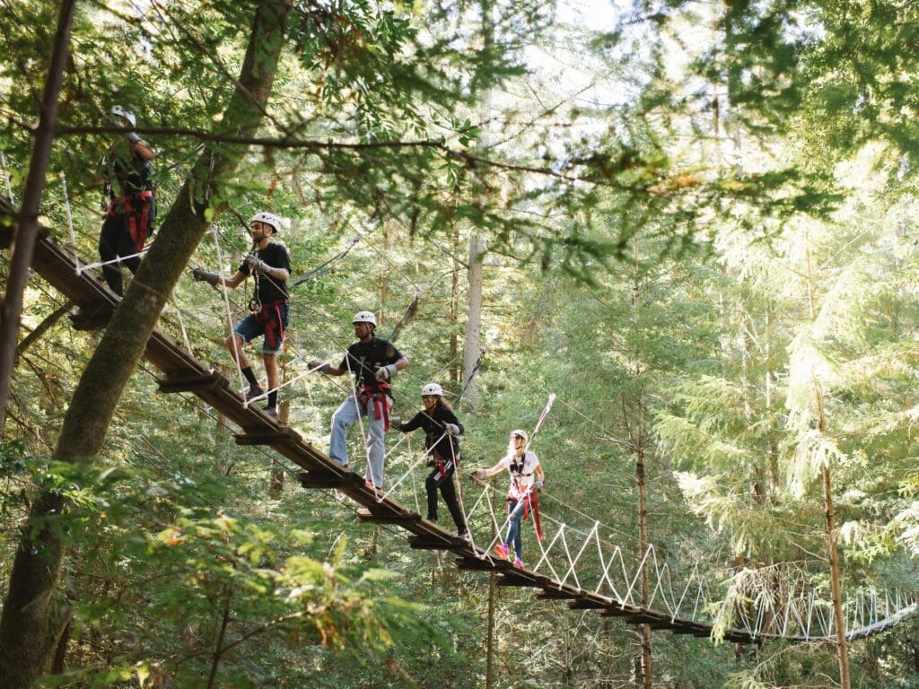 group of people ziplining in the redwoods in sonoma county