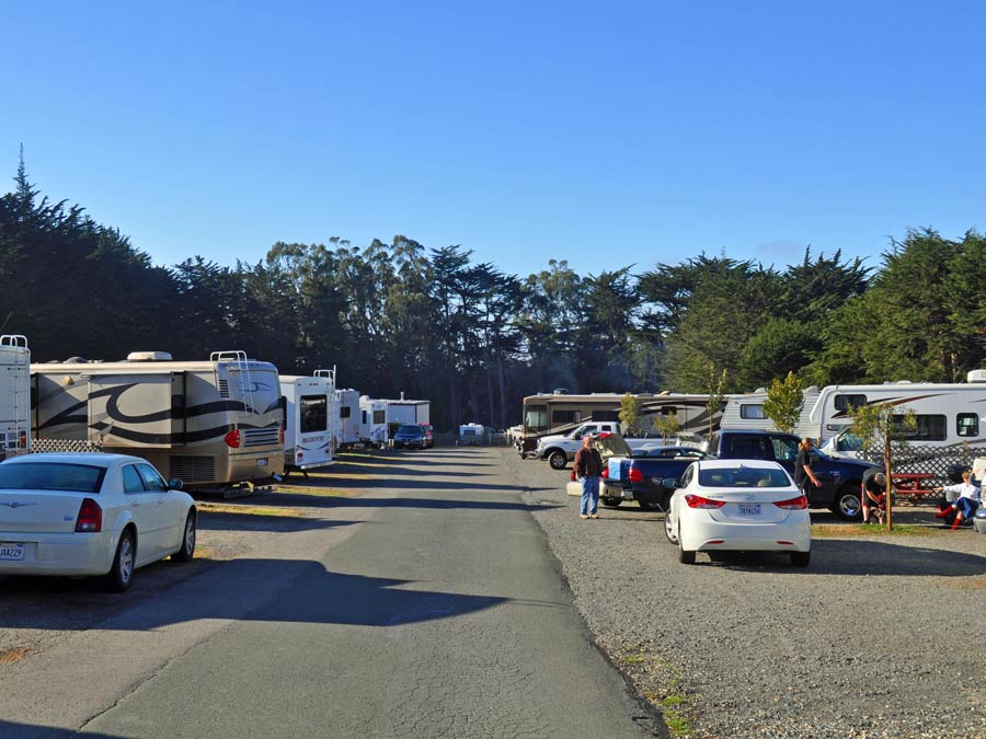 RVs are lined up for camping at Bodega Bay RV Park, Sonoma County