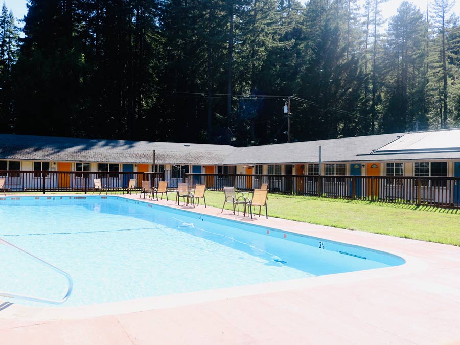 The pool at the lodge is surrounded by redwoods