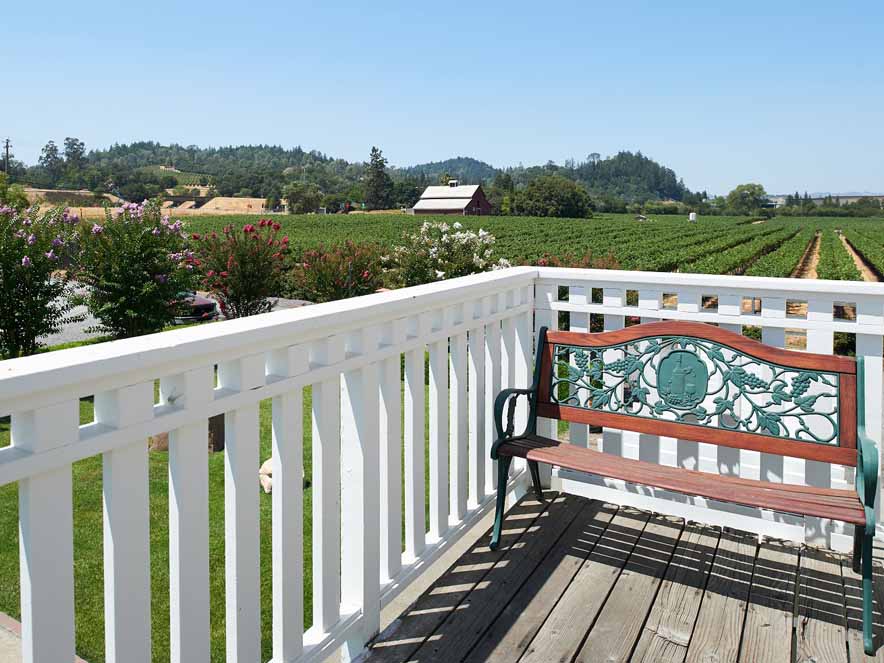 View of vineyards from Geyserville Inn. 