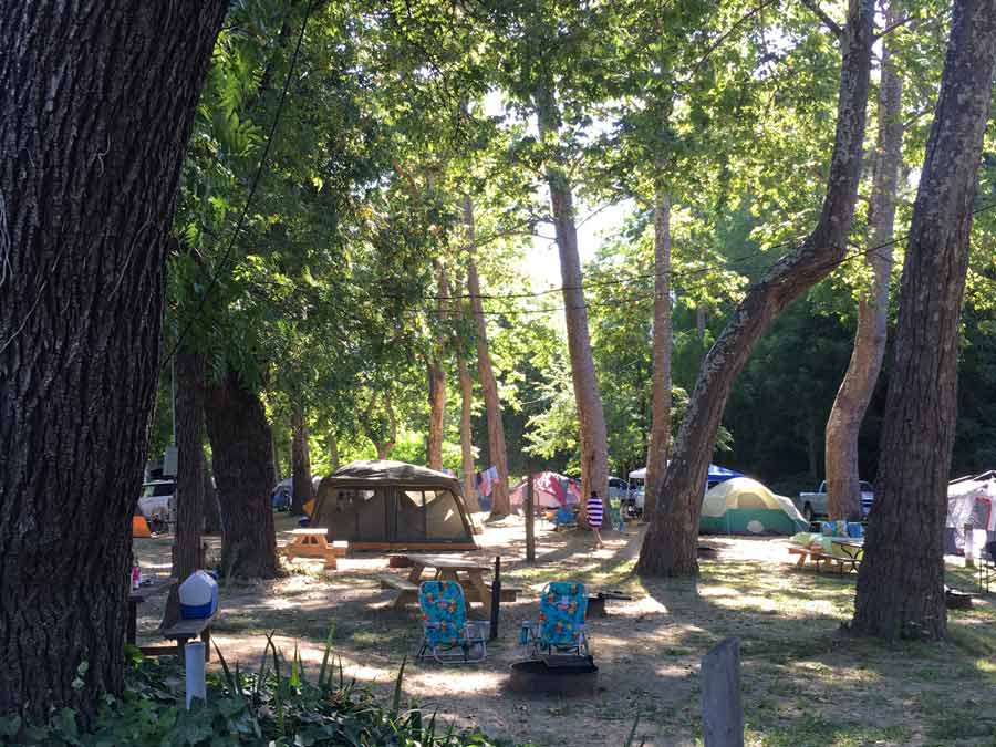 Tents are set up under the shade of trees at Johnson's Beach, Sonoma County