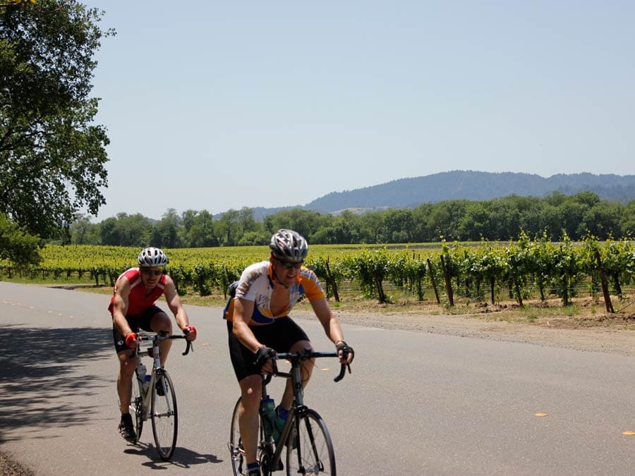 Two people cycle past vineyards in Sonoma County