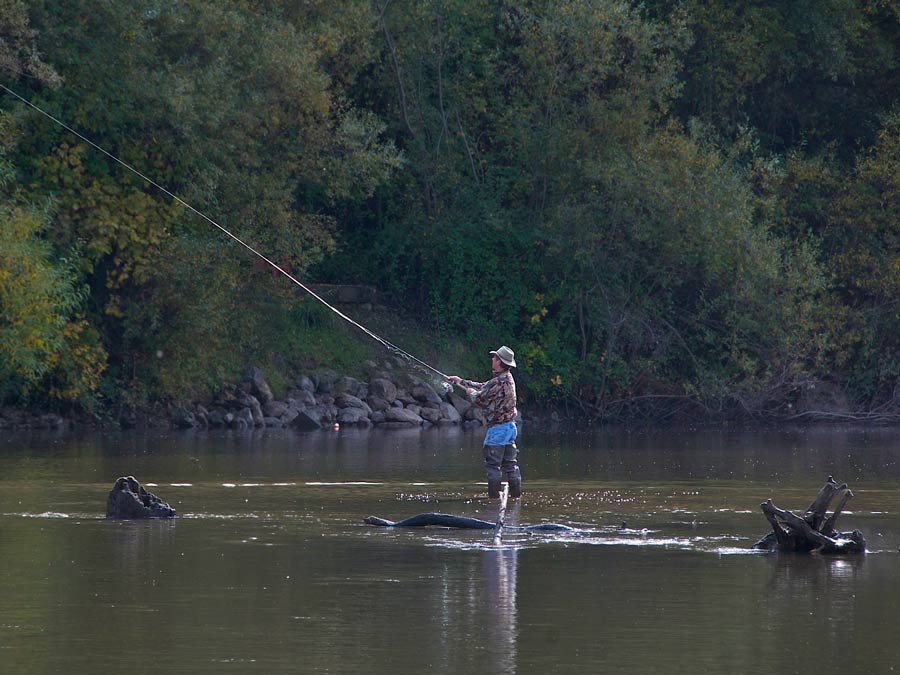 A man enjoys fishing in waders in the Russian River at Rio Nido, Sonoma County