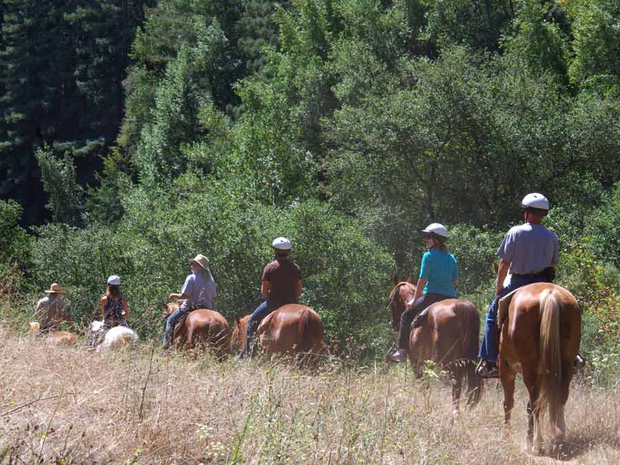 A group of people riding horses in a park