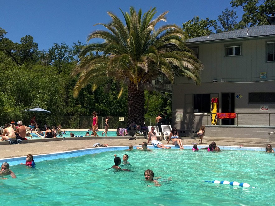 Kids swim in a pool surrounded by trees