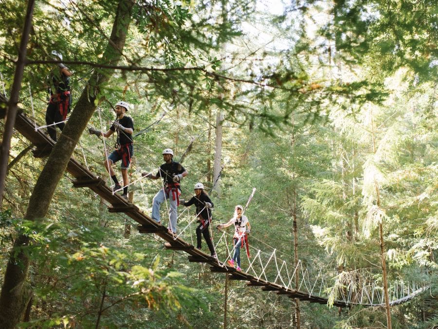 Picture of group walking across bridge to zip line through redwoods