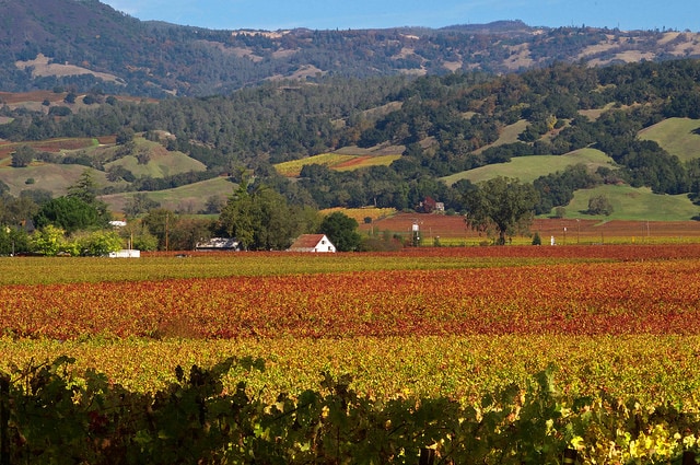 Alexander Valley