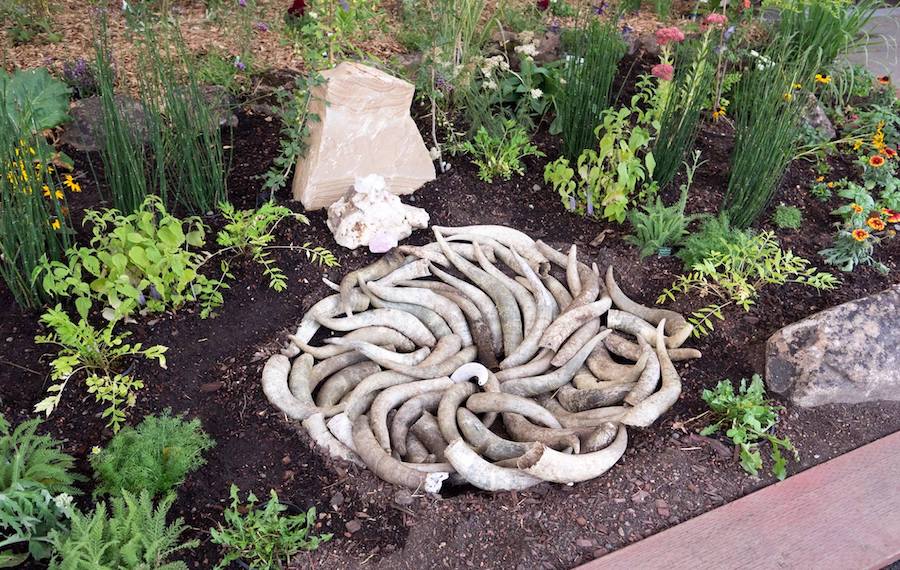 One of the nine Biodynamic farming preparations, on display at the Sonoma County Heirloom Exposition