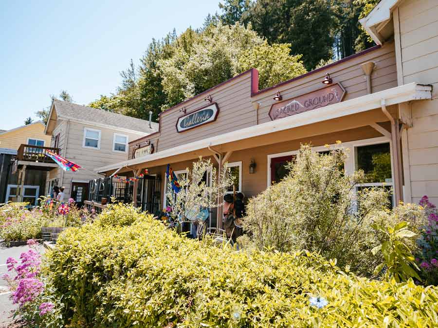 Flowers grow outside of Galleria in the charming town of Occidental, Sonoma County