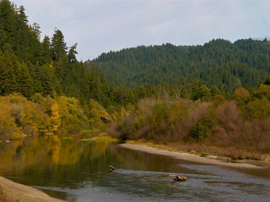 The Russian River in Rio Nido is surrounded by trees in Sonoma County