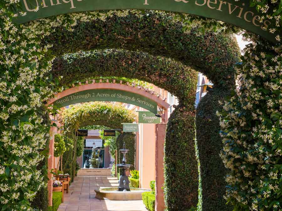 A green hedge leads the way into the alley in Sonoma County