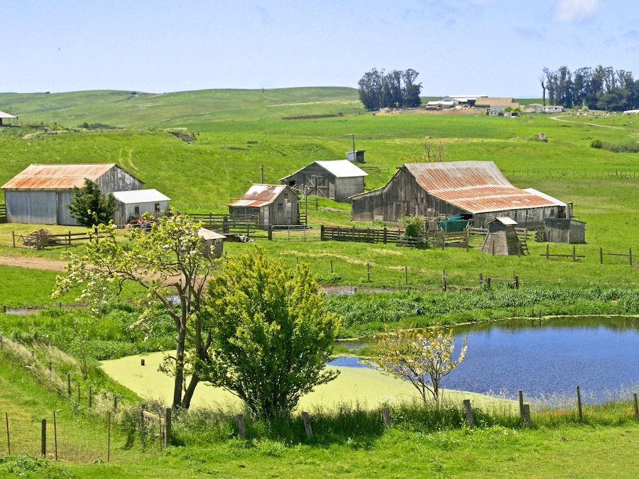 Farm and pond in Valley Ford, California 