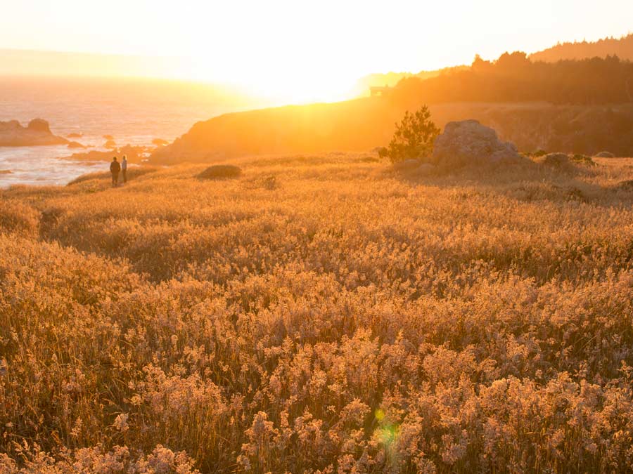 A couple walks along the coast at sunset in Jenner, Sonoma County