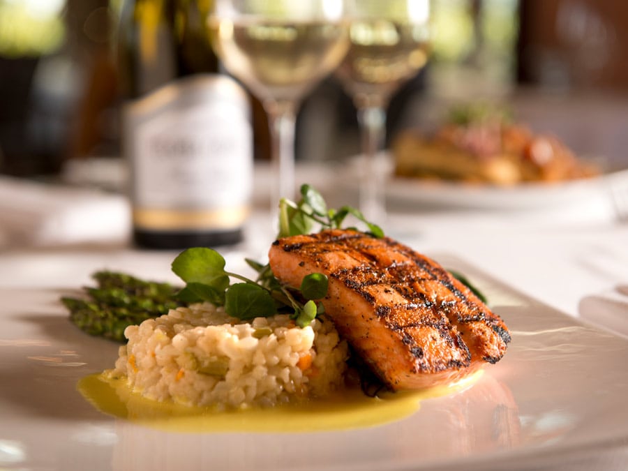 Salmon on top of risotto served at John Ash & Co., Santa Rosa