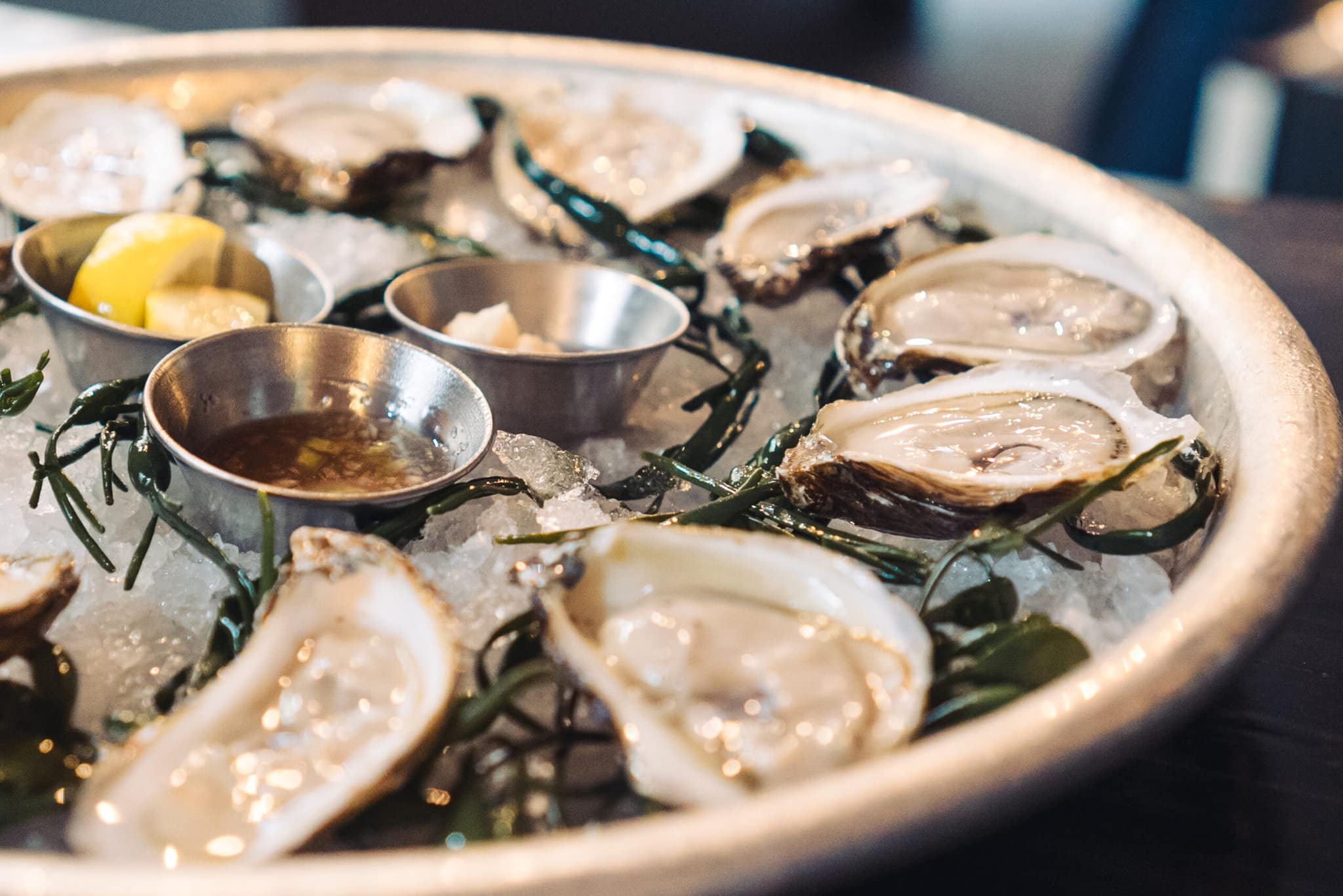 plate of oysters at the Shuckery in Sonoma County