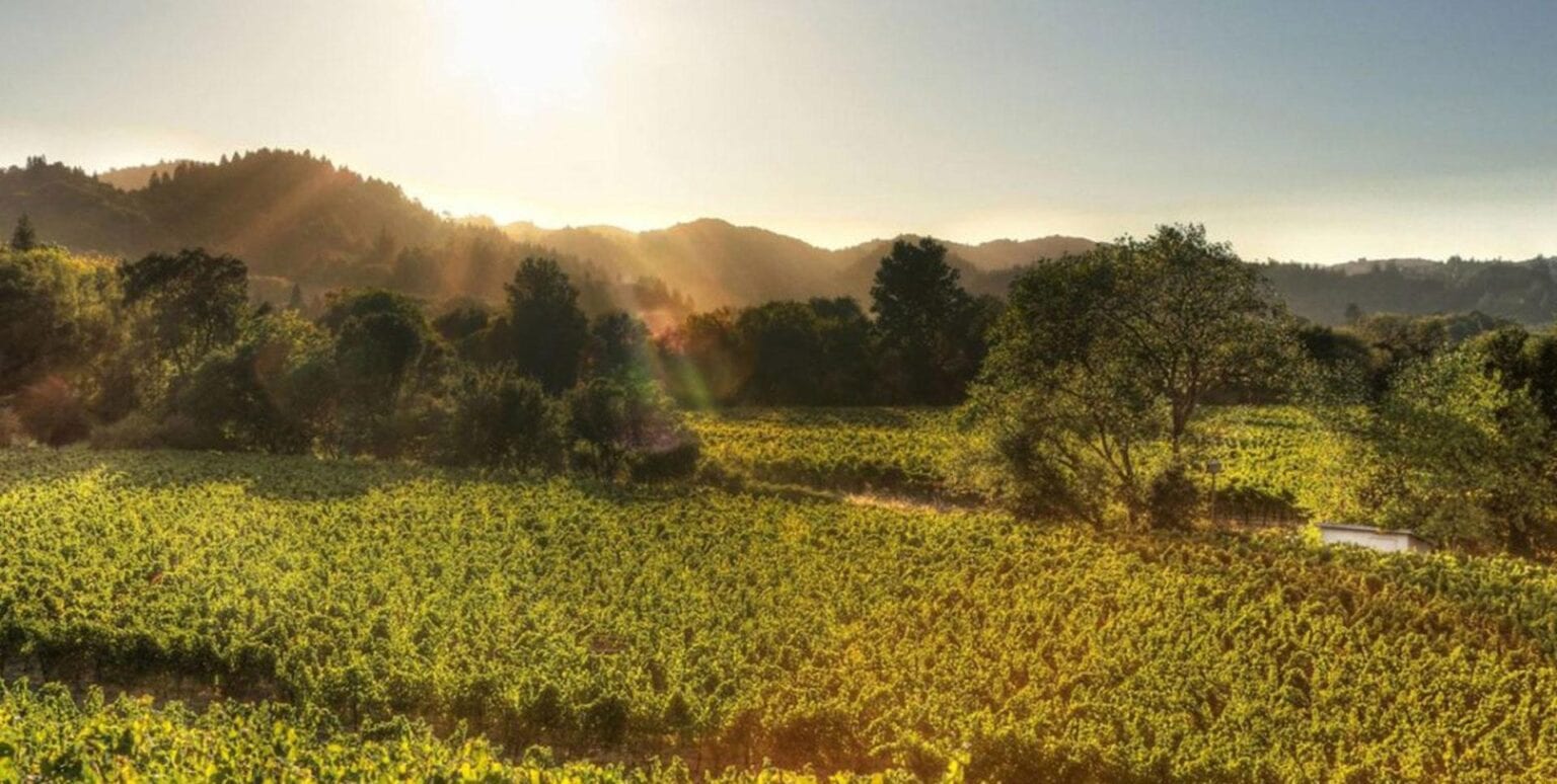 Gundlach Bundschu Winery - Sonoma County Tourism