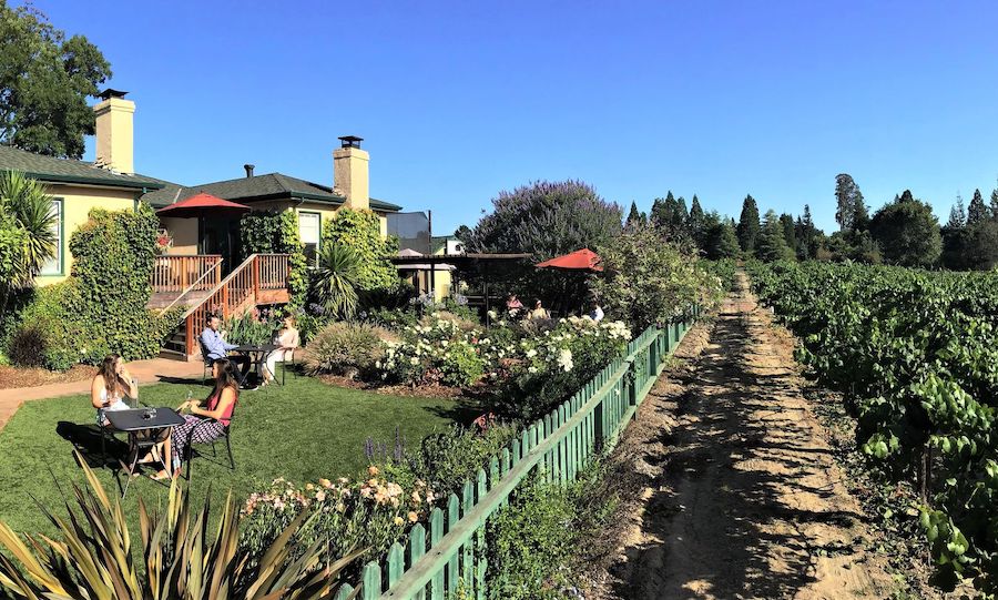 Dutton Estate Winery in Sebastopol 