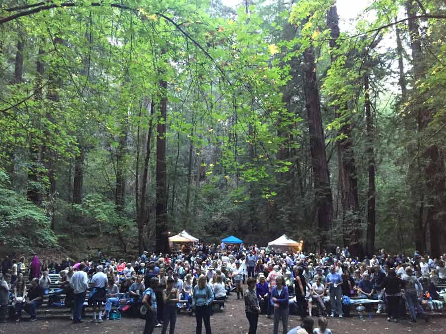 People enjoy live music at the Old Grove Festival, surrounded by redwoods at the historic Redwood Forest Theater in Armstrong Redwoods, Sonoma County