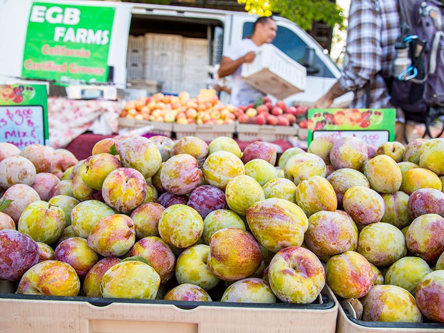 Stone fruits resting on a table at the market