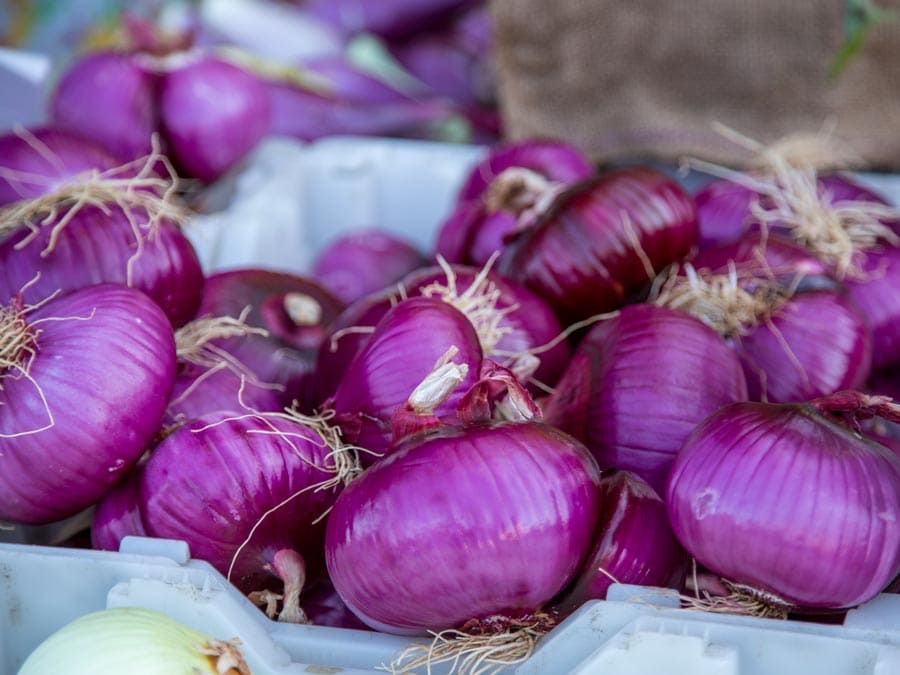 Bright purple onions for sale at a farmers market in Sonoma County