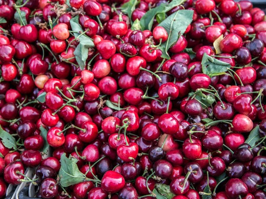 A box full of cherries for sale at a Sonoma County farmer's market