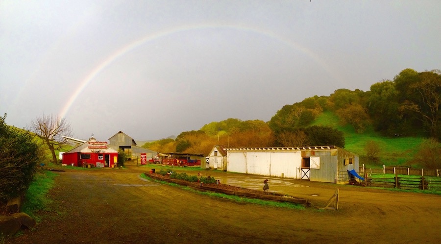 Tara Firma Farms in Petaluma is certified sustainable by Fish Friendly Farming