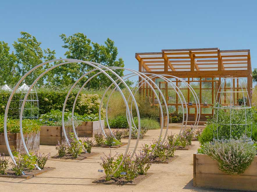 Landscape architects have created a variety of walk through gardens at Cornerstone Sonoma