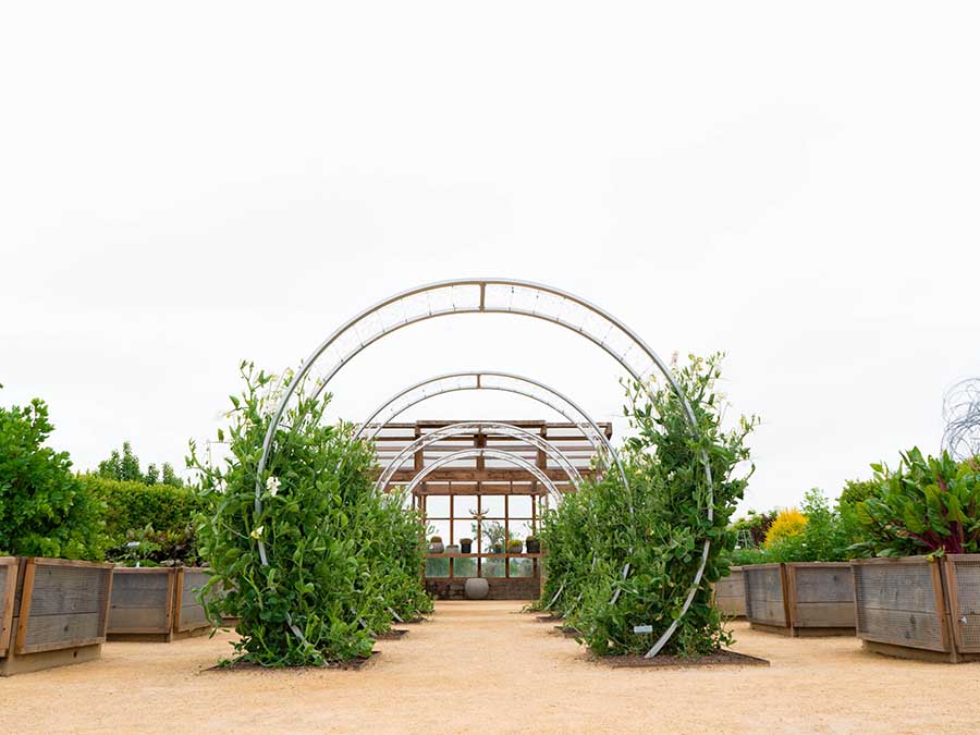 Cornerstone Gardens