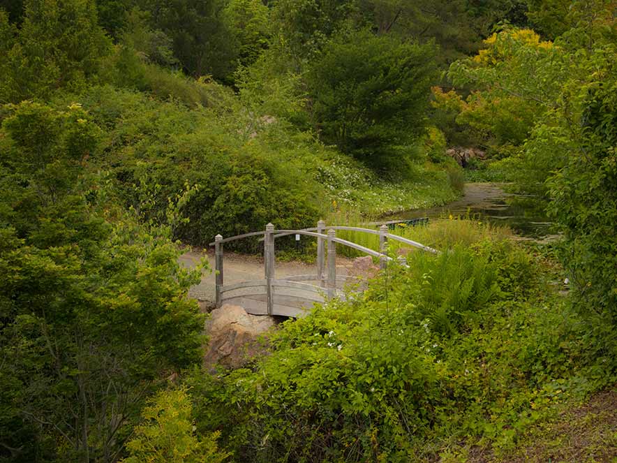 The lush gardens at Quarryhill in Sonoma Valley