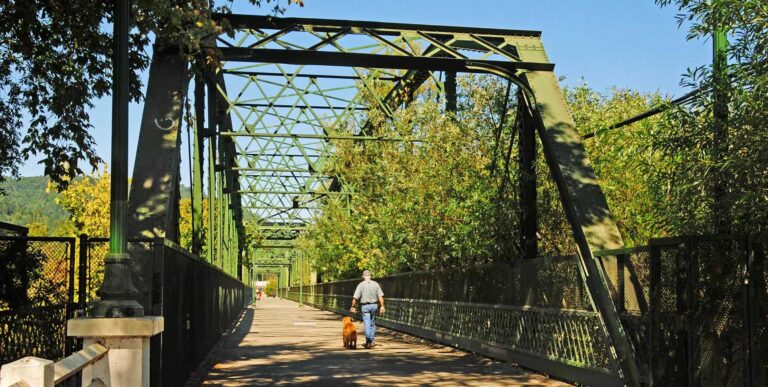 Man and dog walking across steal bridge