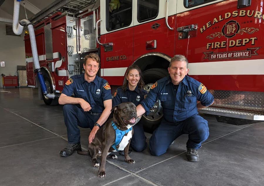 Healdsburg firefighters and a recent member of their Furry Furry Friend Program