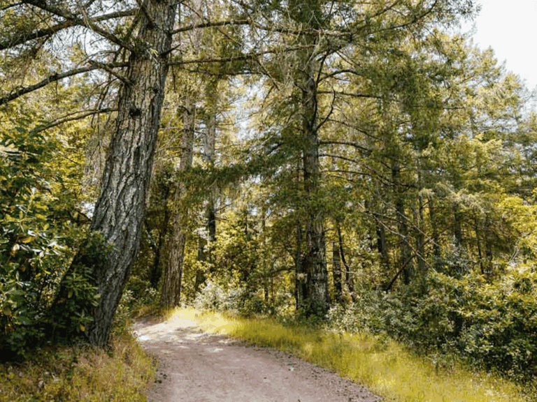trails at jack london state park in glen ellen