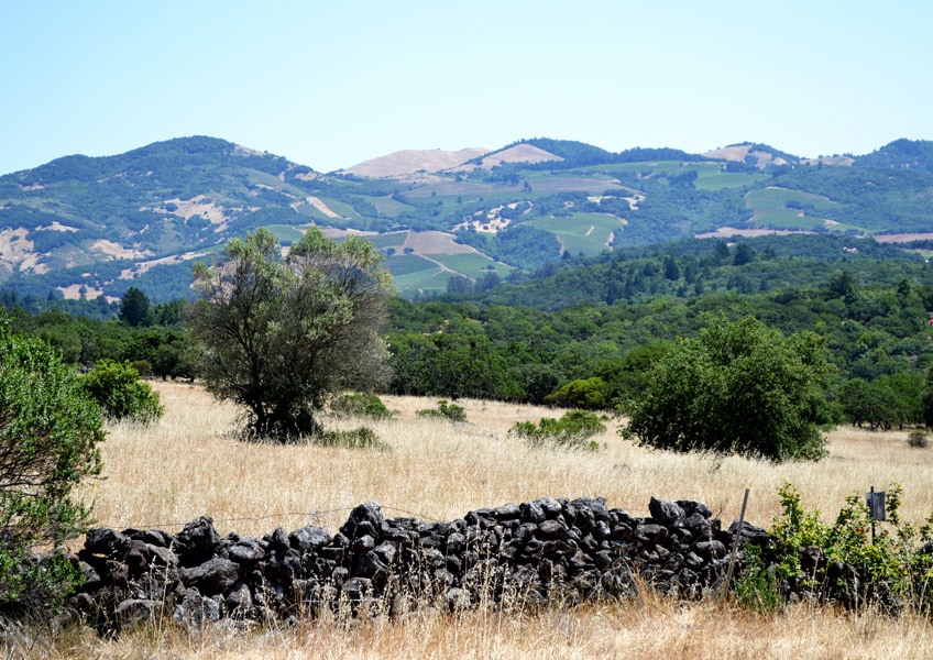 Moon Mountain, Sonoma County, California Moon Mountain, Sonoma County, California