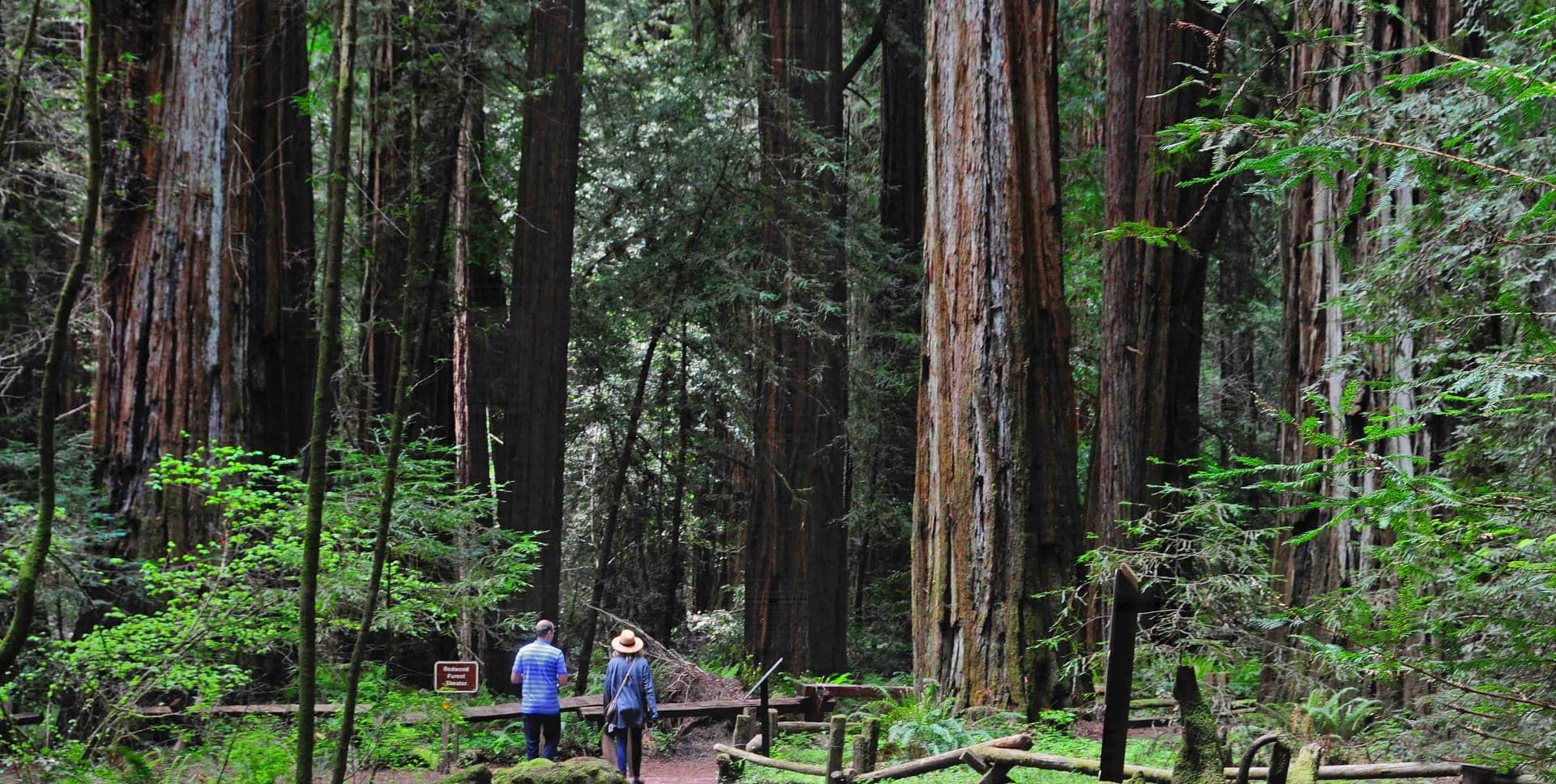 The Barlow Sonoma County Tourism