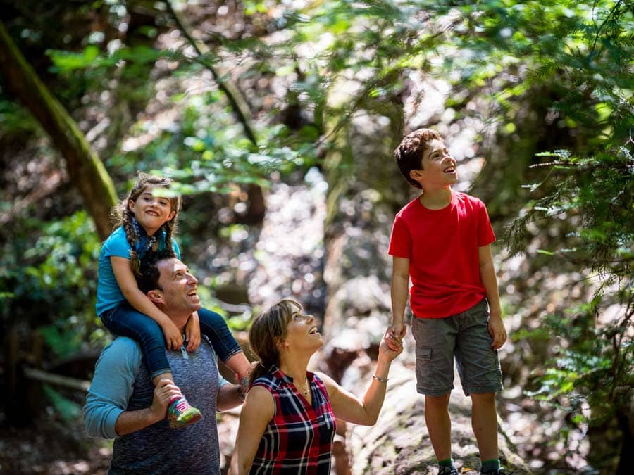 A family walking through Armstrong Redwoods State Natural Reserve in Guerneville