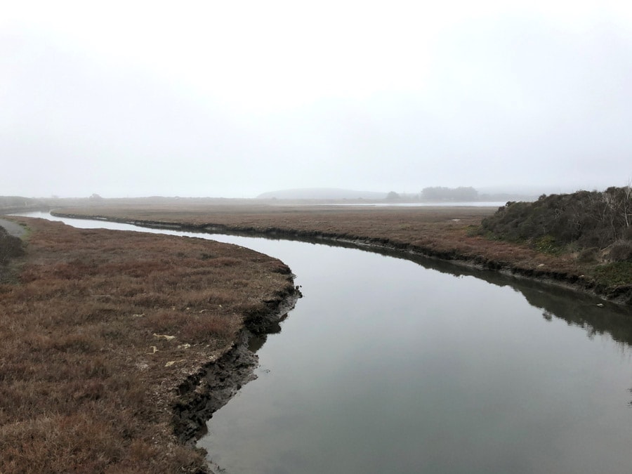 A river flows through the marsh